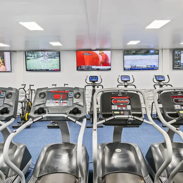 Leisure World Health Club Bethalto Illinois location - Cardio equipment, treadmills