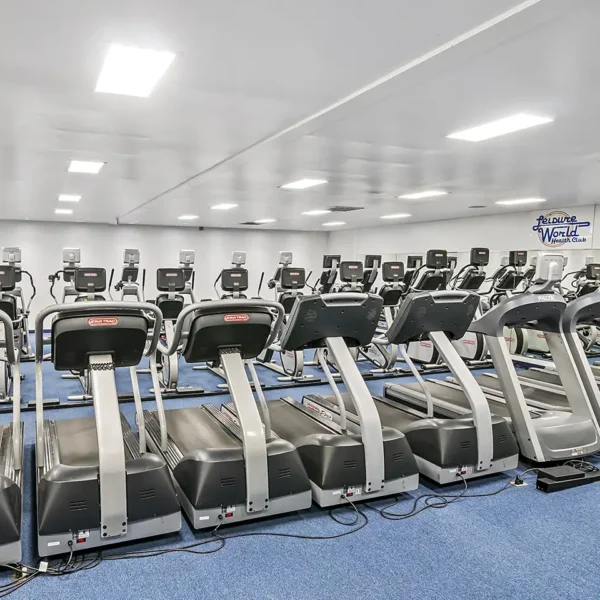 Leisure World Health Club Bethalto Illinois location - Cardio equipment, treadmills