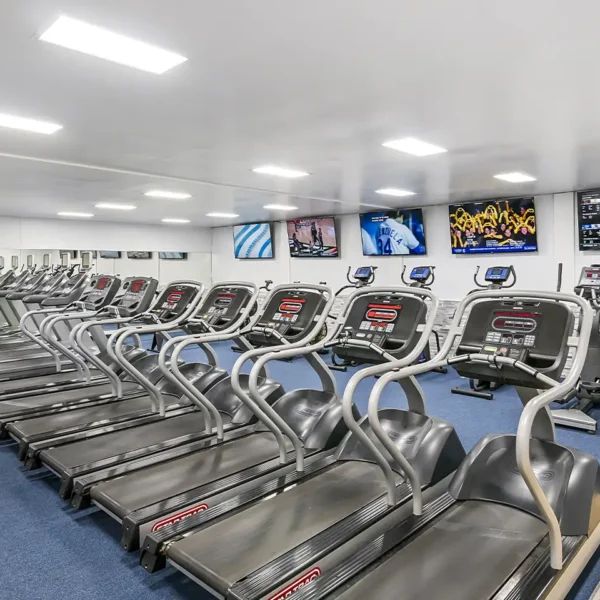 Leisure World Health Club Collinsville Illinois location - Cardio equipment, treadmills