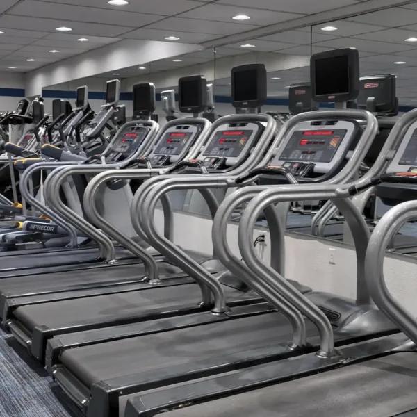 Leisure World Health Club Bethalto Illinois location - Cardio equipment, treadmills