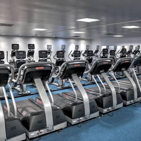 Leisure World Health Club Collinsville Illinois location - Cardio equipment, treadmills